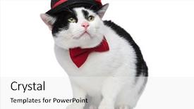  Presentation with red bow - Beautiful slide deck featuring hat and a red bow backdrop and a white colored foreground