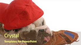  Presentation with mlb baseball in a glove - Presentation theme consisting of hat and resting on baseball background and a tawny brown colored foreground