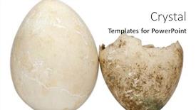  Presentation with egg - PPT theme having hatched-and-unhatched-egg background and a white colored foreground