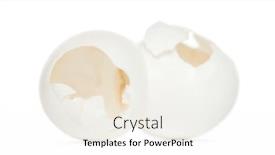  Presentation with white - Cool new slide set with hatched-eggs-of-a-madagascar backdrop and a sky blue colored foreground