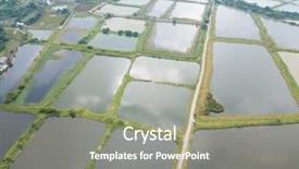  Presentation with fish pond - Presentation design with hatchery - top view of fish pond background and a  colored foreground