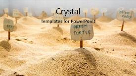  Presentation with sea galilee holy land - Audience pleasing slide deck consisting of hatchery - turtle cemetery on sri lanka backdrop and a lemonade colored foreground