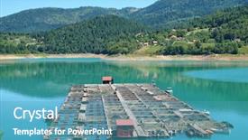  Presentation with fishery - Beautiful presentation design featuring hatchery food - fishery in the zaovine lake backdrop and a teal colored foreground