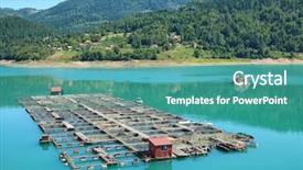  Presentation with fishery - Presentation design consisting of hatchery food - fishery in the zaovine lake background and a teal colored foreground