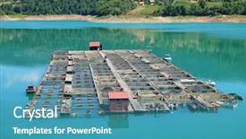  Presentation with fishery - PPT theme having hatchery food - fishery in the zaovine lake background and a teal colored foreground