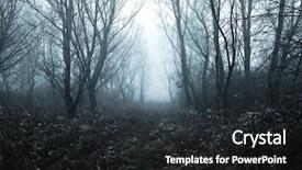  Presentation with forest winter - Colorful PPT layouts enhanced with haunted - winter forest path with frost backdrop and a dark gray colored foreground