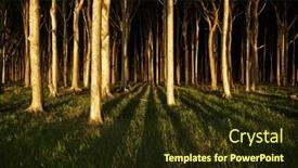  Presentation with haunted woods - Beautiful PPT theme featuring haunted-woods-at-nienhagen backdrop and a tawny brown colored foreground