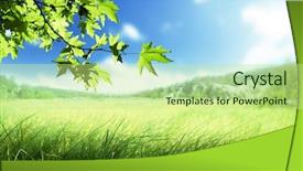  Presentation with field of lavendar - PPT theme having haven - sunny morning and field background and a  colored foreground