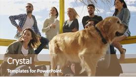  Presentation with community service happy volunteer group - Presentation theme with having fun and drinking beer background and a  colored foreground