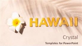 Presentation with plumeria - PPT layouts featuring hawaii-plumeria-flower-and-inscription background and a lemonade colored foreground