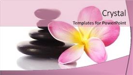  Presentation with zen stones - PPT theme consisting of zen stones with frangipani flower background and a lemonade colored foreground