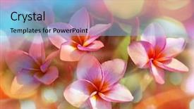  Presentation with hawaiian - Amazing slides having hawaiian garden backdrop and a light blue colored foreground