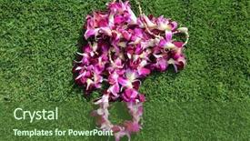  Presentation with designs - Slide set featuring hawaiian lei two hawaiian lei' background and a tawny brown colored foreground