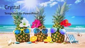  Presentation with hawaiian party - Beautiful presentation design featuring hawaiian party - attractive pineapples in stylish sunglasses backdrop and a light blue colored foreground