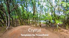  Presentation with hawaiian - Beautiful slide deck featuring hawaiian-tropical-yard-background backdrop and a coral colored foreground