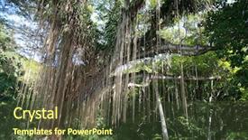  Presentation with maui - Presentation theme enhanced with hawaiin volcano - inside a jungle on maui background and a tawny brown colored foreground