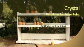  Presentation with honesty - Beautiful presentation theme featuring hawaiina - pineapples for sale backdrop and a  colored foreground