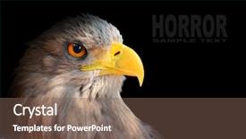  Presentation with hawk - Colorful slide set enhanced with hawk - evil eye awesome eagle backdrop and a violet colored foreground