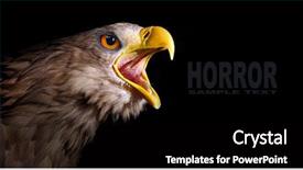  Presentation with hawk - Presentation consisting of hawk - evil eye awesome screaming eagle background and a black colored foreground