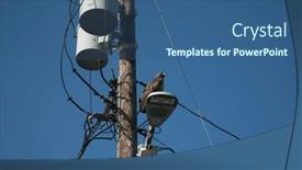  Presentation with hawk - Slide deck consisting of hawk-a-juvenile-red-tail background and a ocean colored foreground