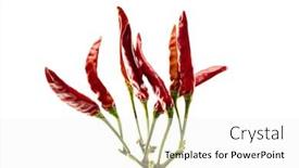 Presentation with hawk - Presentation consisting of hawk-claw-chili-peppers-takanotsume background and a white colored foreground