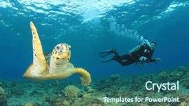  Presentation with turtle - Presentation theme having hawksbill sea turtle and scuba background and a ocean colored foreground