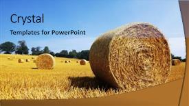  Presentation with hay field - Amazing theme having hay bail harvesting in golden backdrop and a light blue colored foreground