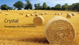  Presentation with hay field - Audience pleasing theme consisting of work in concert pleasant delighted backdrop and a lemonade colored foreground.