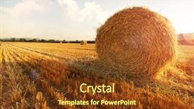  Presentation with hay field - Beautiful PPT theme featuring hay bail harvesting in golden backdrop and a tawny brown colored foreground