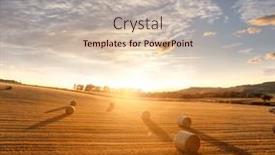  Presentation with hay field - Presentation theme enhanced with hay-bail-harvesting-in-golden and a soft green colored foreground