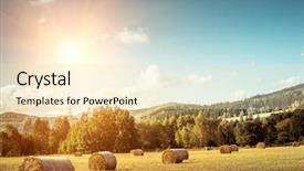 Presentation with hay field - Theme with hay bail harvesting in golden background and a lemonade colored foreground