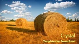  Presentation with straw bale - Audience pleasing theme consisting of hay bale in the countryside backdrop and a crimson colored foreground