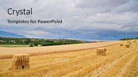  Presentation with hay field - Beautiful presentation featuring hay bales field backdrop and a light gray colored foreground