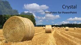  Presentation with hay field - Presentation theme enhanced with hay bales in a field on a bright summers day background and a teal colored foreground