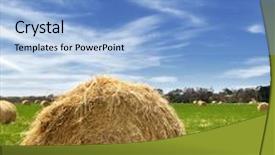  Presentation with hay field - PPT theme with hay-bales-in-a-lush background and a light blue colored foreground