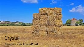  Presentation with hay field - Amazing theme having hay bales in the fields backdrop and a coral colored foreground