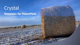  Presentation with winter - Colorful presentation theme enhanced with hay-bales-in-winter backdrop and a teal colored foreground