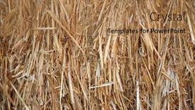  Presentation with straw - PPT theme having hay-hay-bails-seamless-texture background and a coral colored foreground