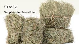  Presentation with molecular biology white - PPT layouts featuring hay isolated on white background and a lemonade colored foreground