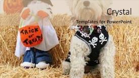  Presentation with straw bale - PPT layouts featuring hay or straw halloween theme background and a coral colored foreground