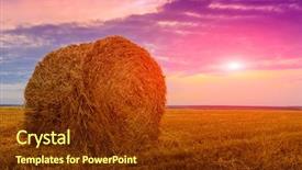  Presentation with hay field - PPT theme featuring hay roll on agricultural field background and a tawny brown colored foreground