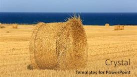  Presentation with hay field - Colorful slides enhanced with hay-roll-on-field-near backdrop and a yellow colored foreground