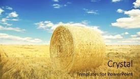  Presentation with roll - Amazing PPT theme having hay-roll on meadow nature backdrop and a  colored foreground