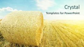  Presentation with roll - Presentation theme having hay-roll on meadow nature background and a  colored foreground
