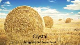  Presentation with nature meadow baby and child - Presentation theme with hay-roll on meadow nature background and a  colored foreground