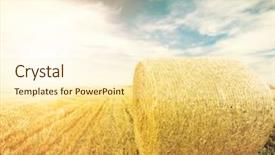  Presentation with roll - Cool new slide deck with hay-roll on meadow nature backdrop and a  colored foreground