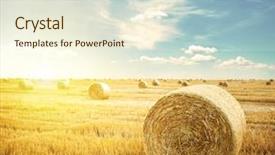  Presentation with roll - Presentation theme consisting of hay-roll on meadow background and a cream colored foreground