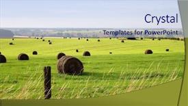  Presentation with hay field - Beautiful PPT theme featuring hay rolls in a field backdrop and a  colored foreground