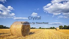  Presentation with hay field - Beautiful PPT theme featuring hay-rolls-on-harvested-field backdrop and a light blue colored foreground
