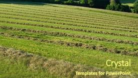  Presentation with hay field - Beautiful slide deck featuring hay windrows in the field backdrop and a tawny brown colored foreground